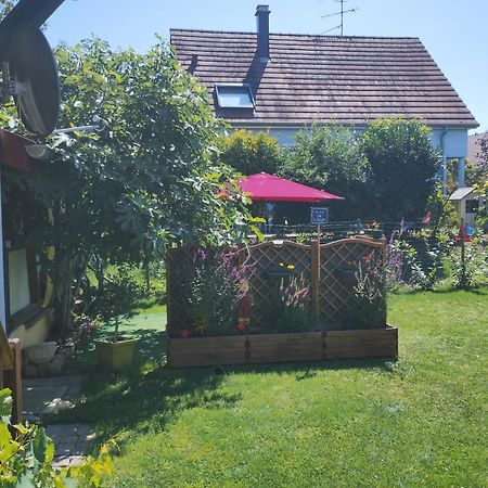 Gite Alsace Appenwihr Exterior photo