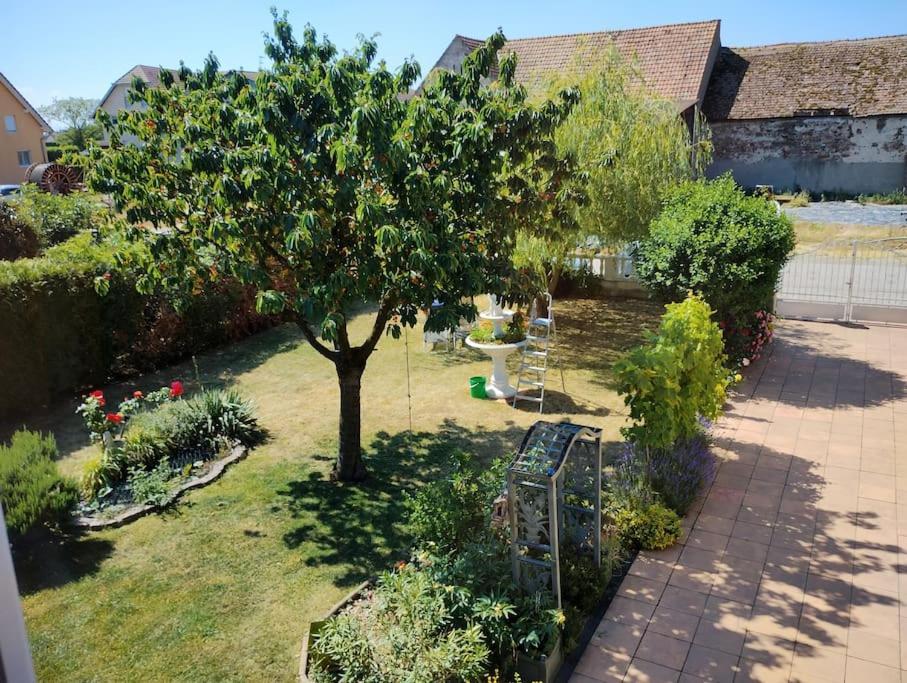 Gite Alsace Appenwihr Exterior photo